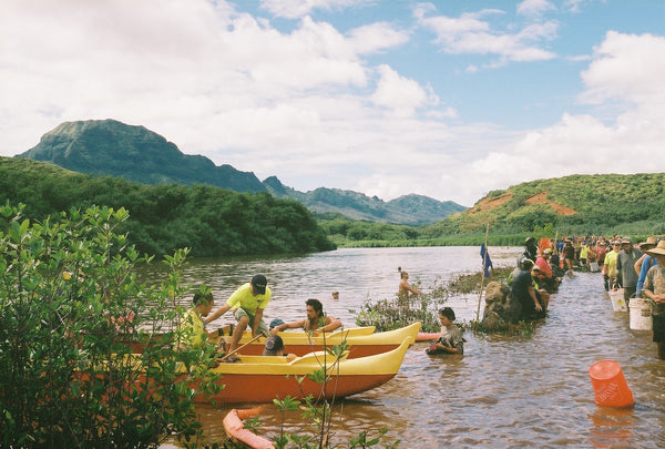 Volunteers using traditional Hawaiian practices to restore a free-flowing, healthy, and productive Hulē’ia ecosystem at Alakoko fishpond