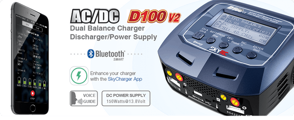 SkyRC D100 V2