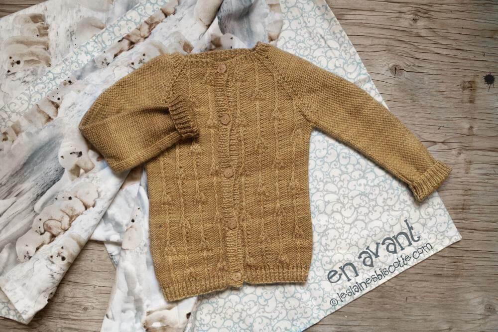 Patron De Tricot Pour Bebe Gilet En Avant Les Laines Biscotte Yarns