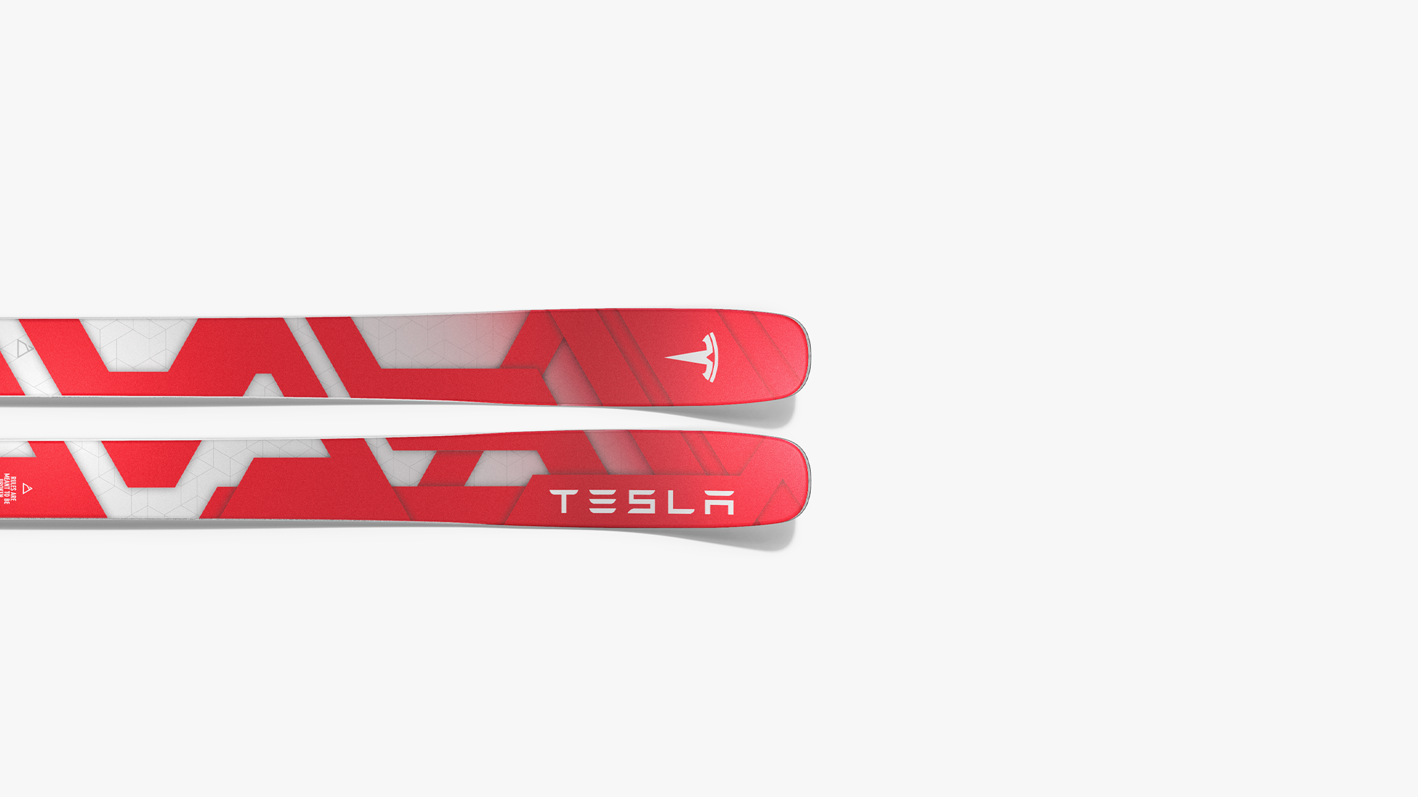 Tesla_Ski_Elon_Musk_RENOUN