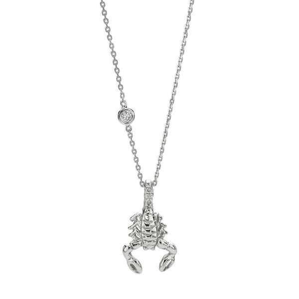 Sterling Silver Scorpio Zodiac Necklace, Zodiac Jewelry - Elizabeth Showers
