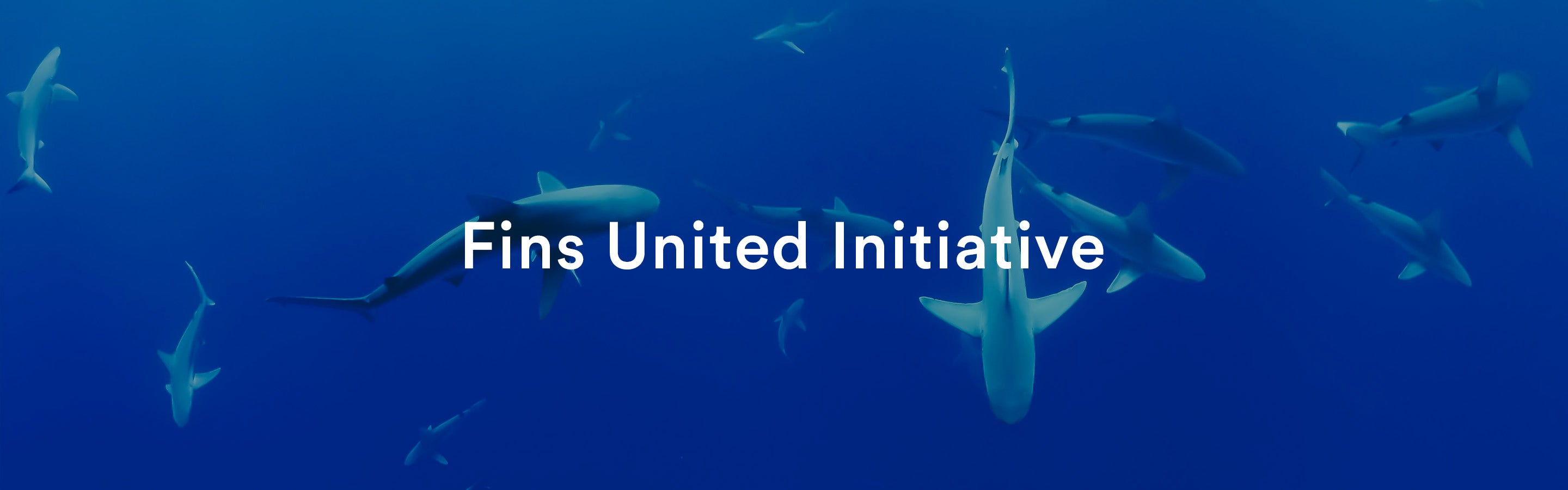 Fins United Initiative Rheos Nautical Eyewear