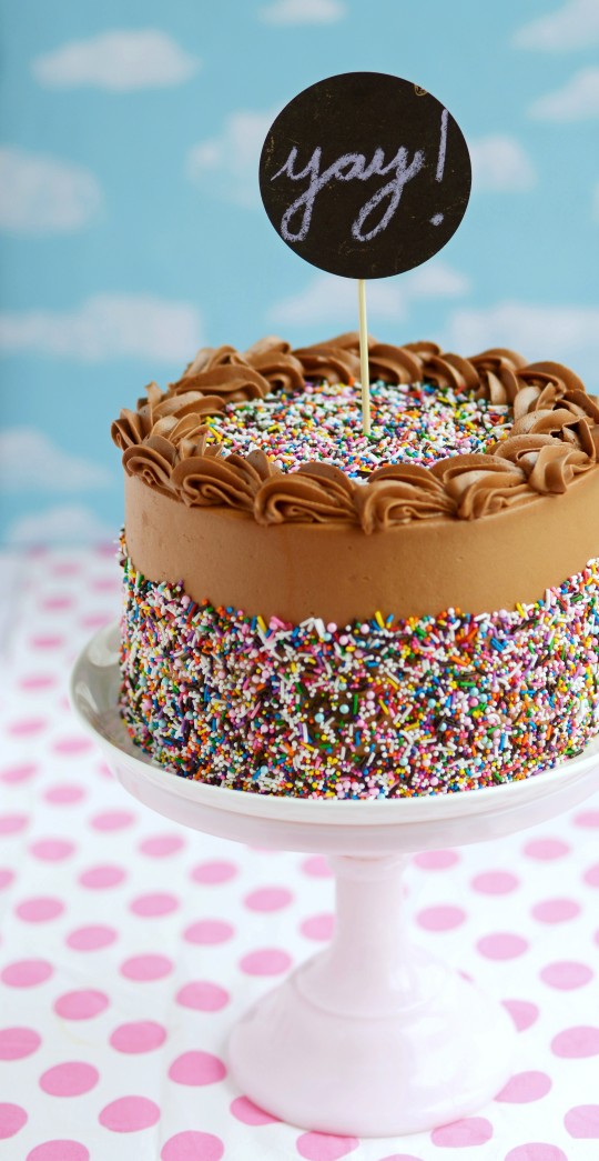 Ice Cream Sprinkle Layer Cake - Classy Girl Cupcakes