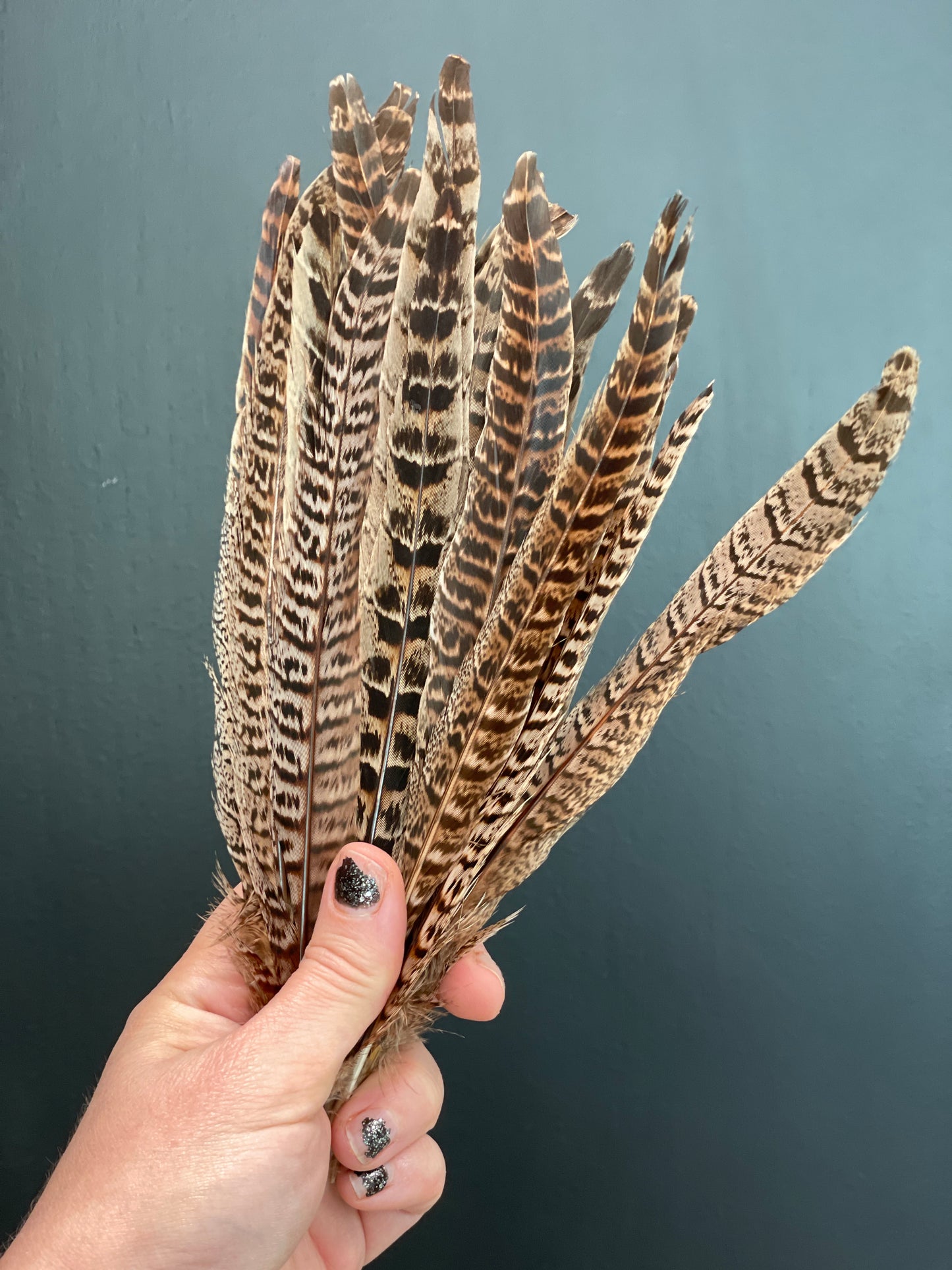 Ring-necked Pheasant Feathers Puffed Up Photograph by Lois Lake - Pixels