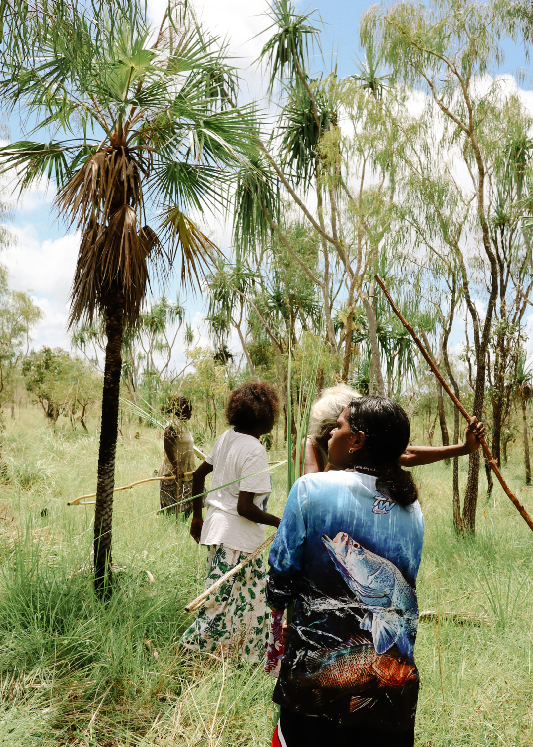 Marrawuddi Weavers Harvesting Pandanus on Country