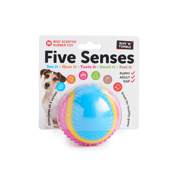 5 senses dog ball