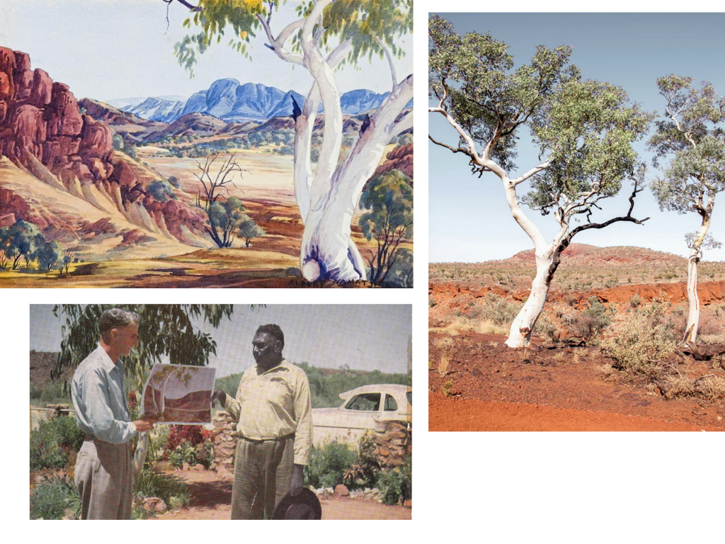 Images d'Albert Namatjira, de son style de peinture et du paysage qu'il peint