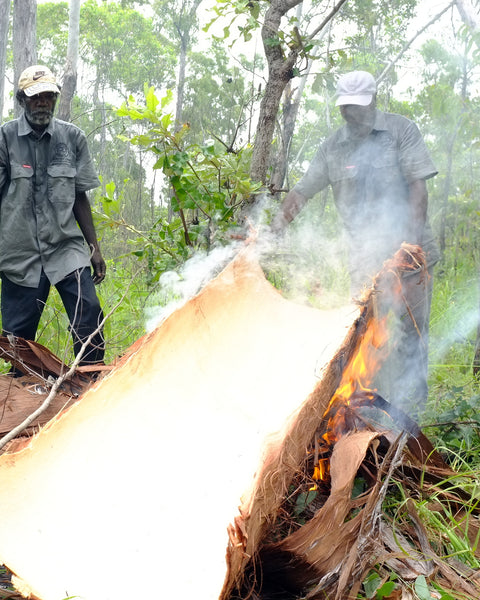 Firing a bark ready for artists to paint in Yirkala