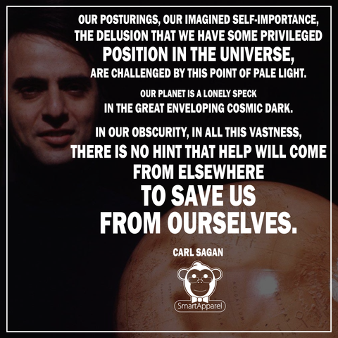 Carl Sagan In our obscurity, in all this vastness, there is no hint that help will come from elsewhere to save us from ourselves