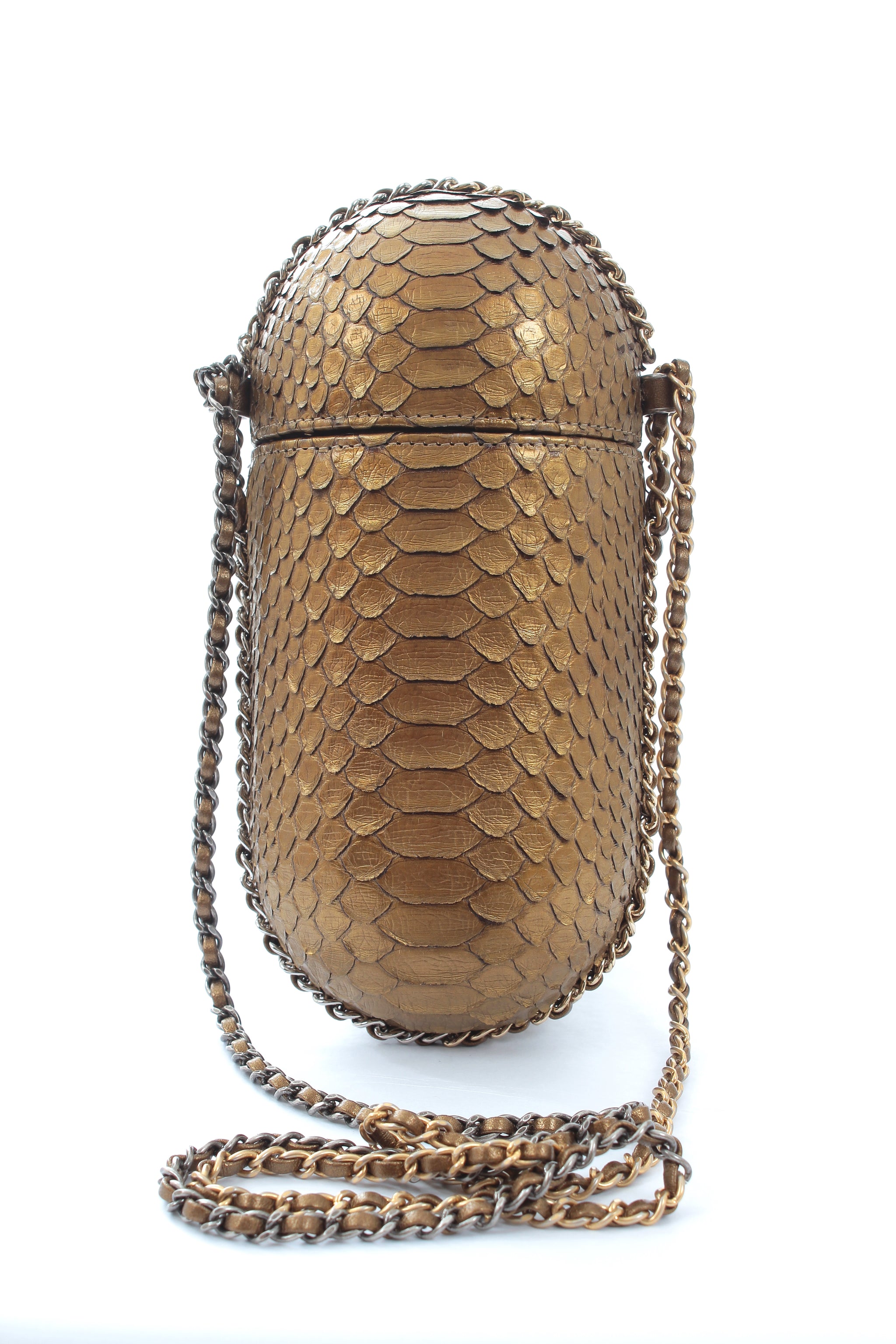 Chanel 2019 Métiers d'Art Python Evening Bag - Limited Edition Collect -  Closet Upgrade