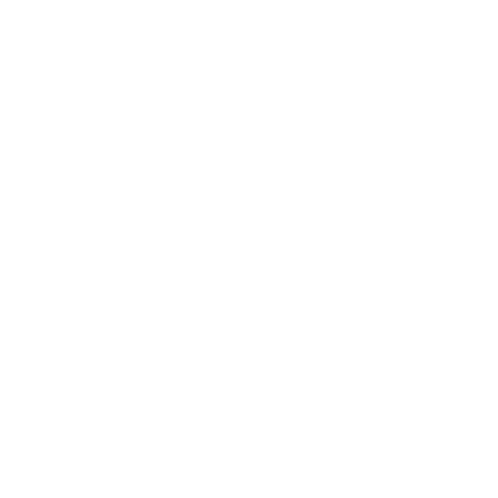 Lucid Skis