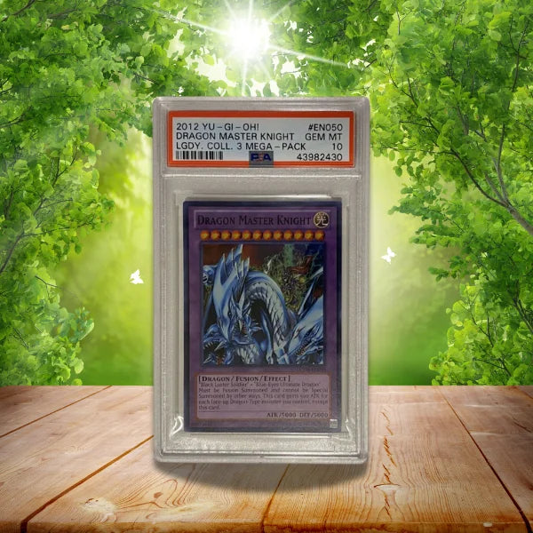 Dragon master knight en050