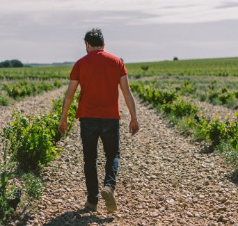 Rayos i Truenos, winemaker José Antonio Fernández walks the vineyards