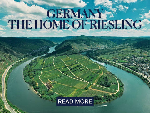 Vineyards on the steep slopes of the Mosel