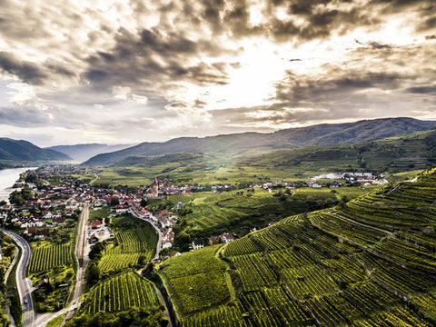 Ried Achleiten, Wachau, Niederösterreich © Austrian Wine / Robert Herbst