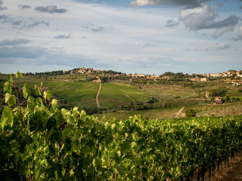 Reserve Wines | A view of a Tuscan landscape