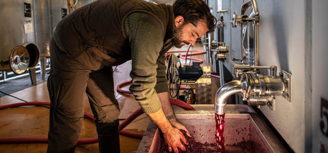 Riecine Winemaker Alessandro Campatelli in the winery