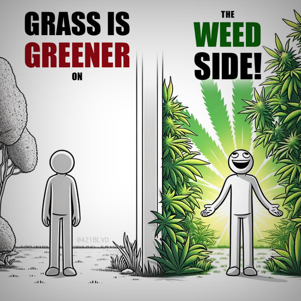 #420 #bud #l420memes #710life #dab #hash #stoner #420daily #hightimes #indica #weed #cannabis #cannabiscommunity #marijuana #ganja #weedlife #stoned #grassisgre