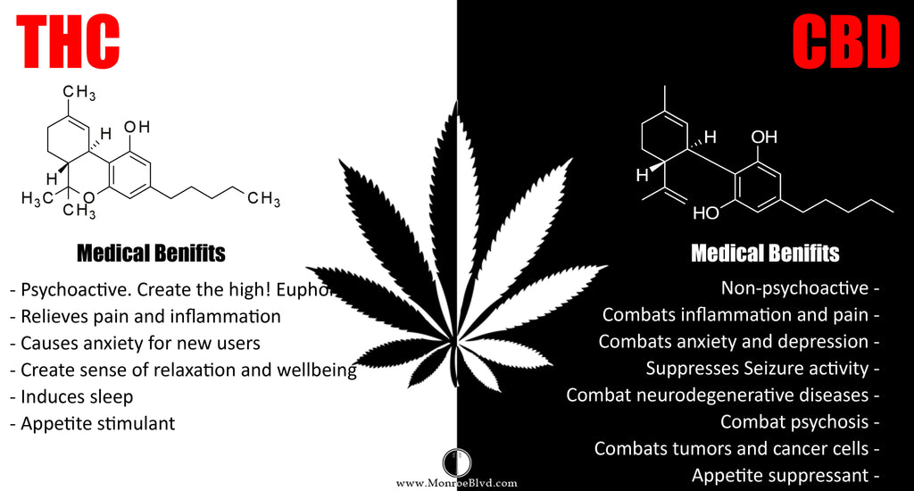 THC and CBD, and the Entourage Effect