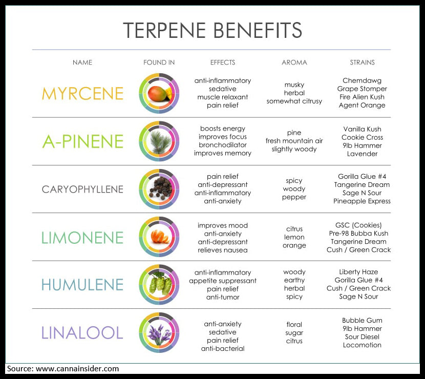 cannabis-terpene-benefits