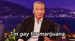 gay-for-marijuana