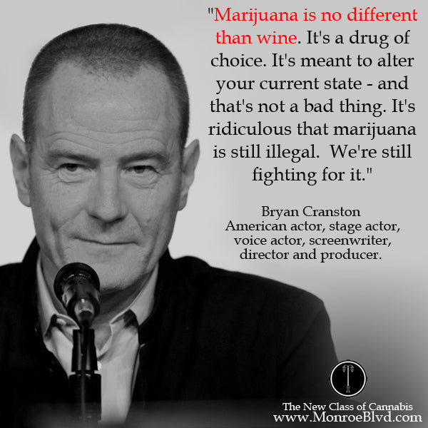 famous-stoner-quotes-about-life-marijuana-quotes-cannabis-quotes-bryan-cranston