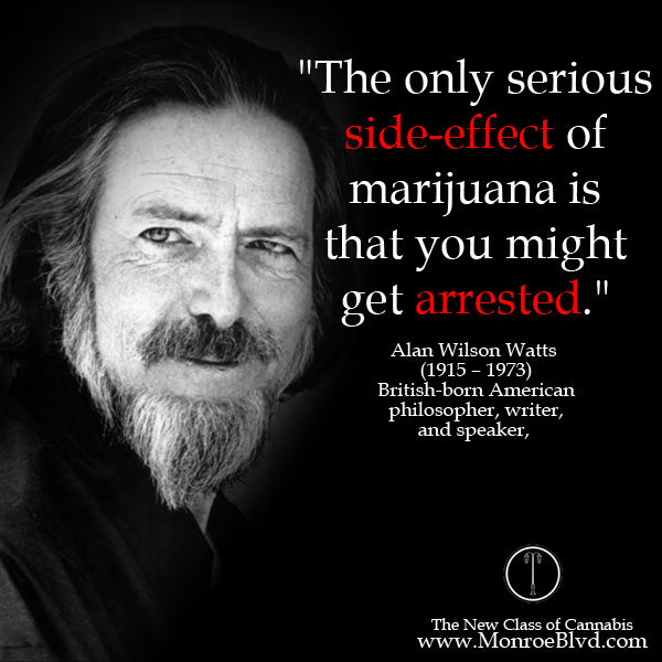 famous-stoner-quotes-about-life-marijuana-quotes-cannabis-quotes-alan-watts