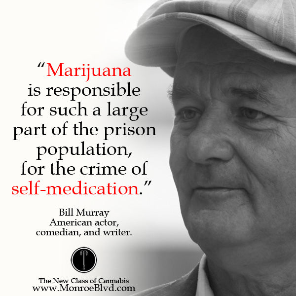 famous-stoner-quotes-about-life-marijuana-quotes-cannabis-quotes-bill-murray