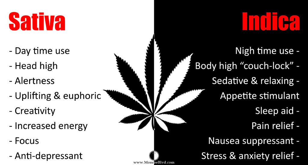 The Differences Between Indica and Sativa
