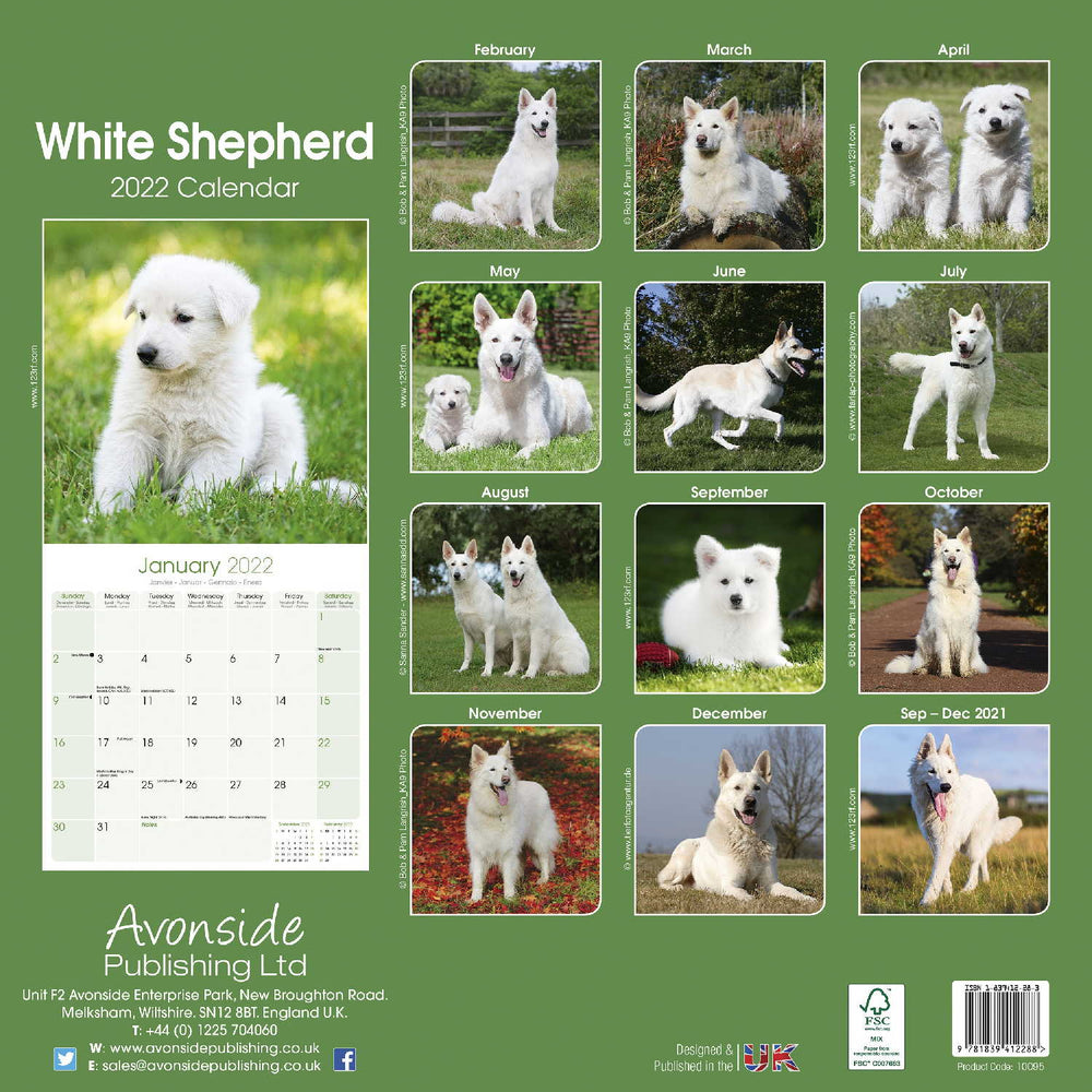 White German Shepherds 2022 Wall Calendar Feeds A Dog For 4 DAYS! A