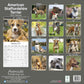 American Staffordshire Terrier 2023 Wall Calendar
