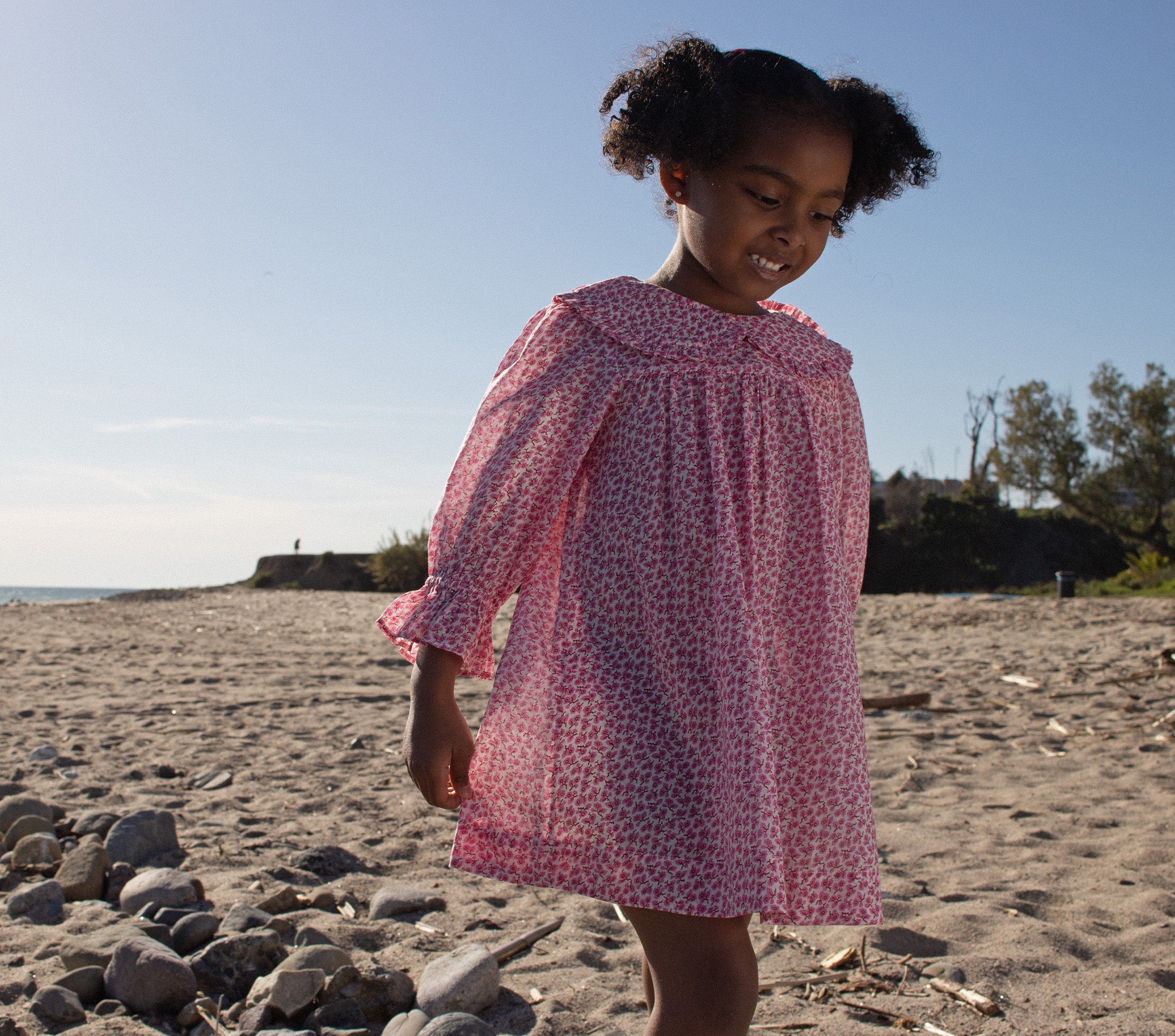 CARINE DRESS -- COSMOS HILLSIDE BLOOM