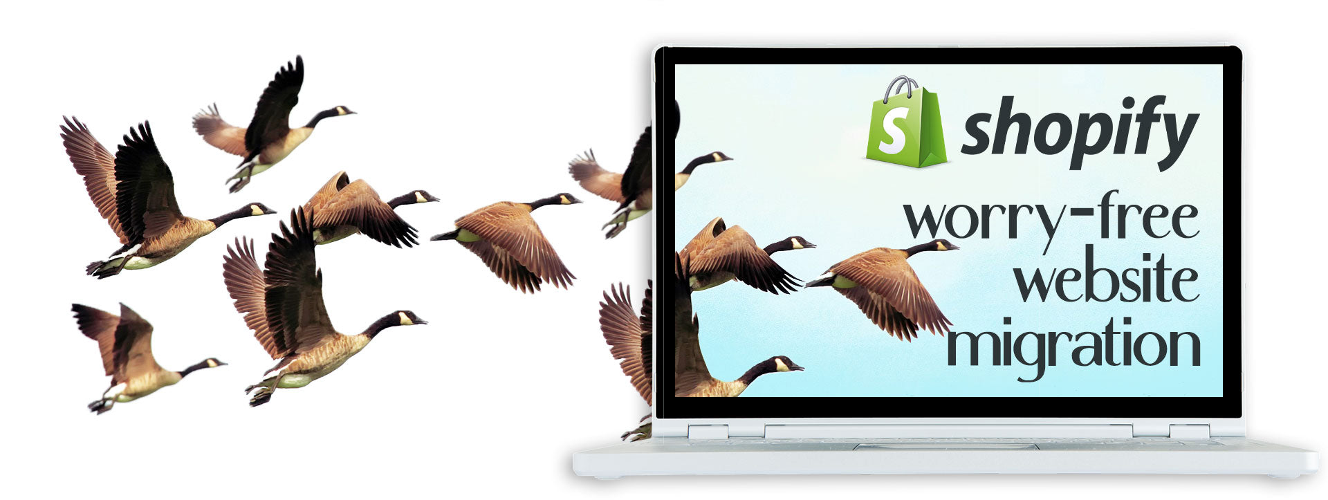 Worry Free Website Migrations to Shopify by 2FriendsDesigns