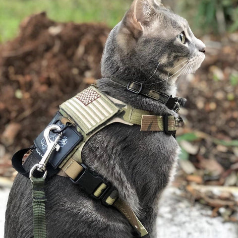 M1 Lightspeed Harness for Cats – Tactical Outfitters