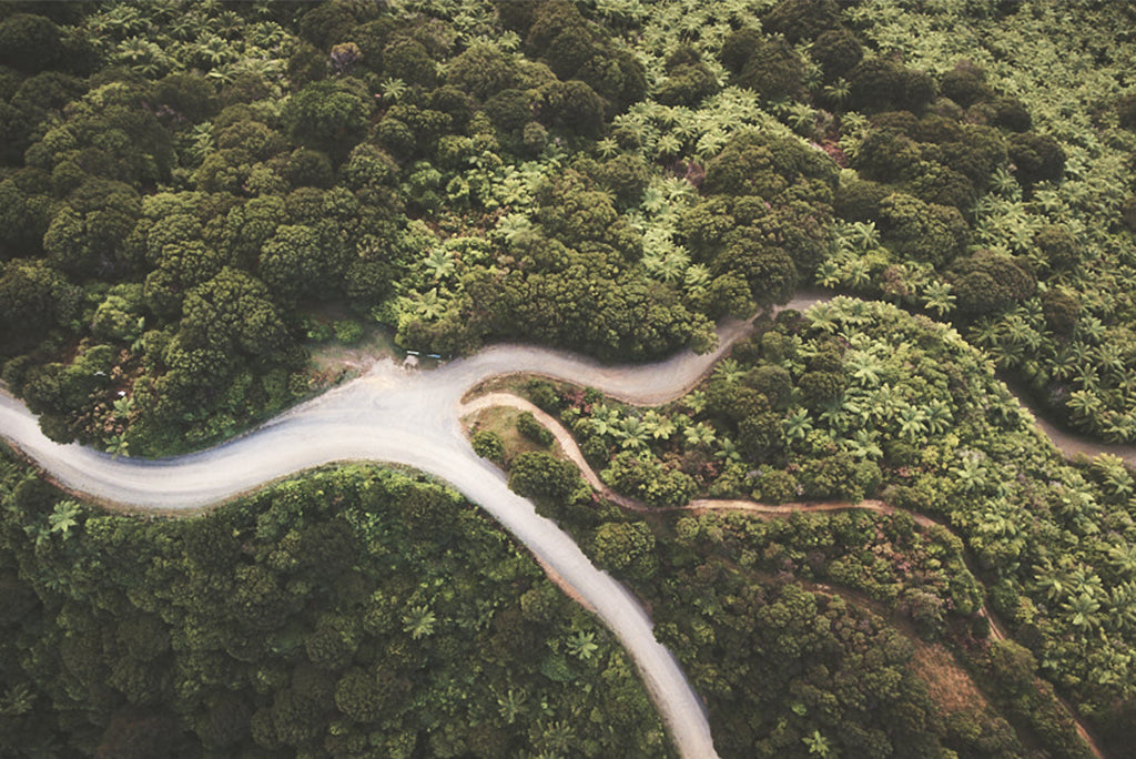 Marlborough Sounds by Citizens of the World