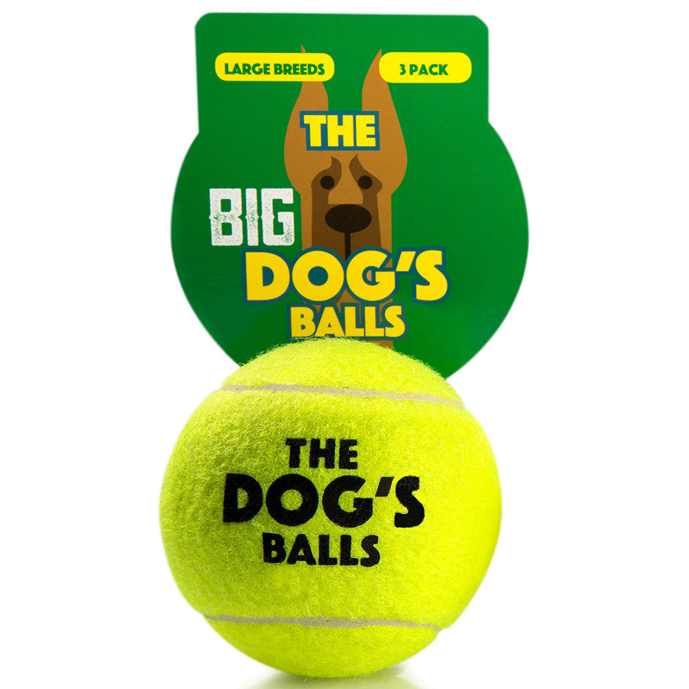 large tennis balls for dogs