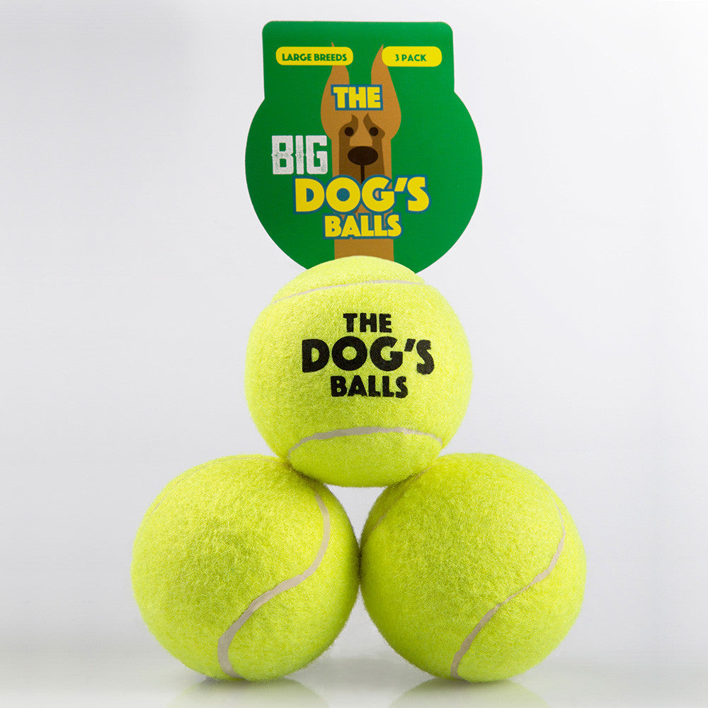 yellow dog ball