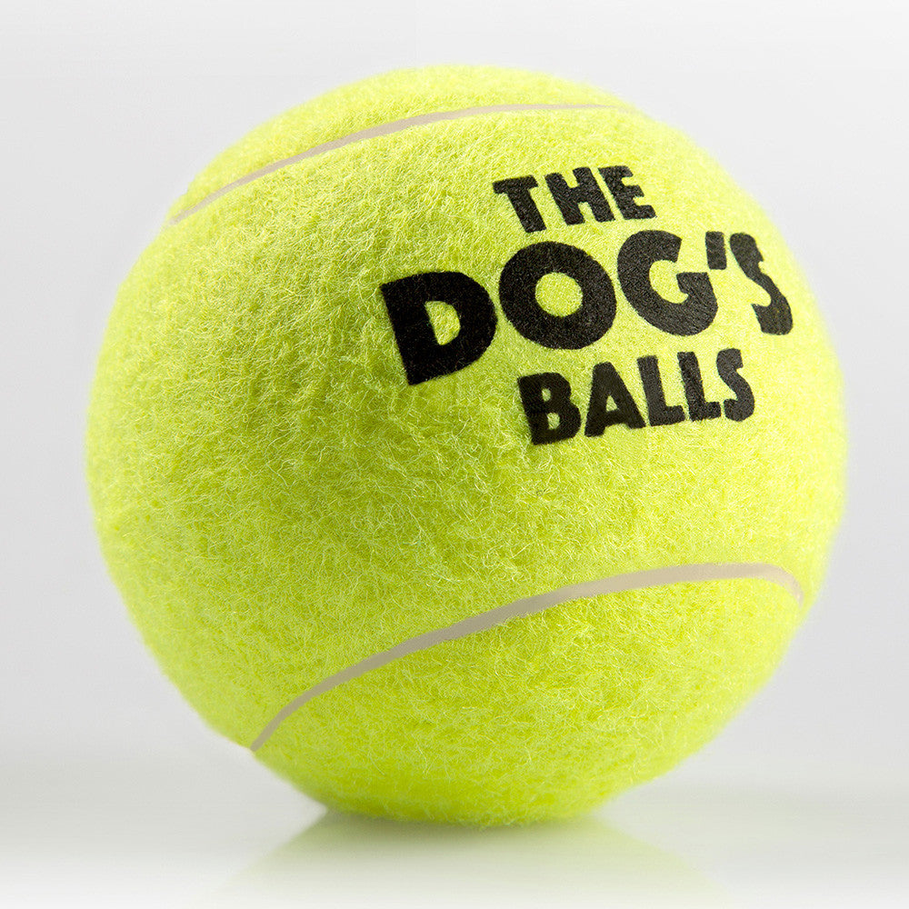 large tennis balls for dogs