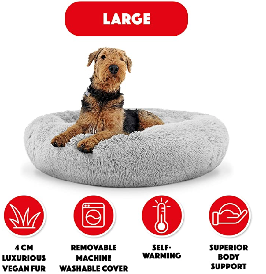 ice bed for dogs