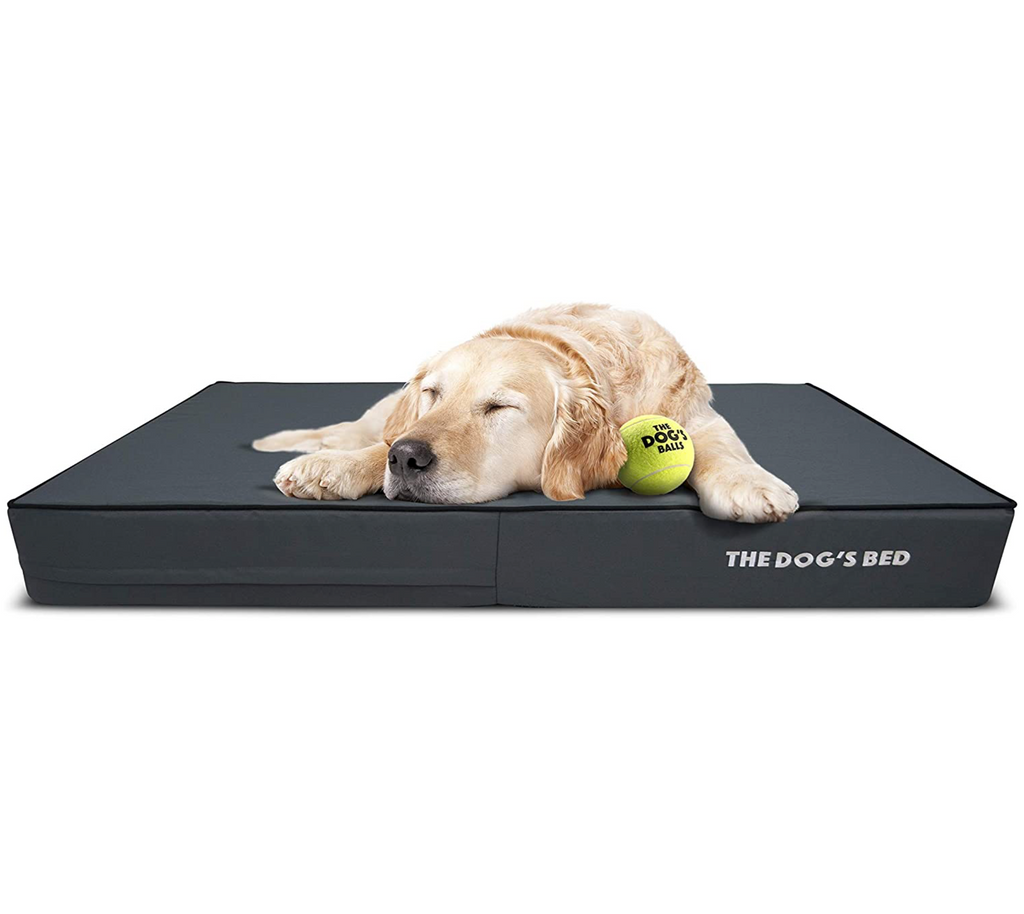 ball dog bed