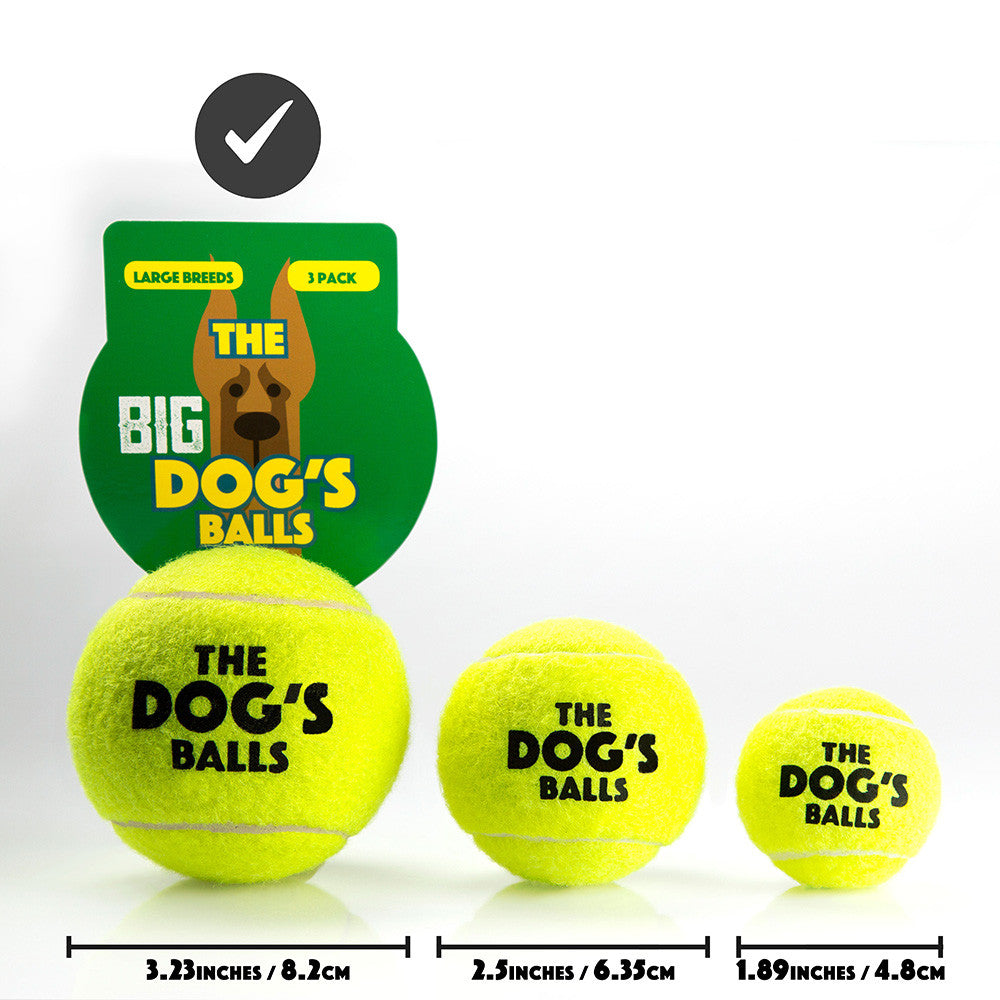 large tennis balls for dogs