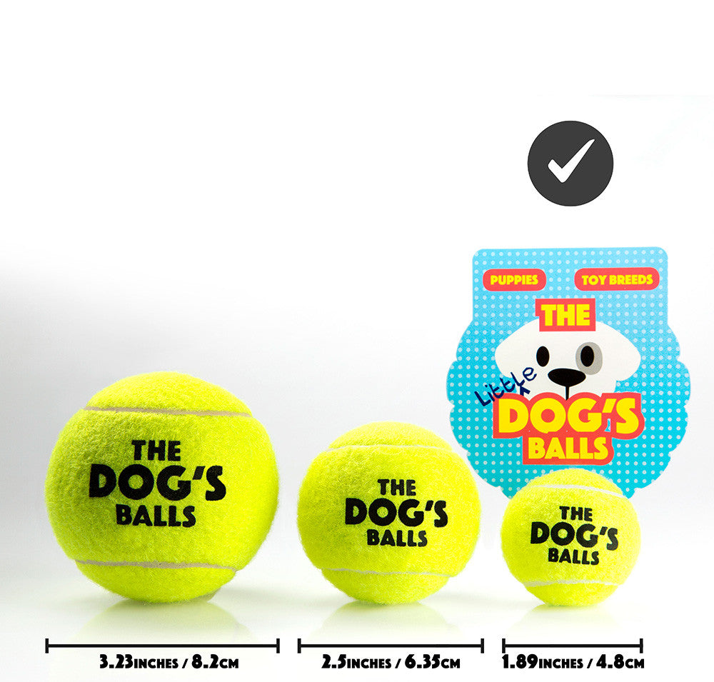 tiny dog balls