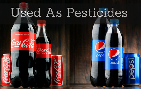 Using Pepsi and Coca-Cola For a Pesticide, Why Do People Still Drink This Stuff?