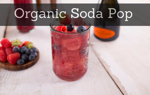 Is Organic Soda becoming the Goliath of the soda pop industry?