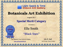 Black Stars Special Merit Award Certificate for Elle Smith Artist at Inspired By Elle