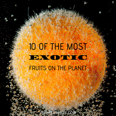 10 of the Most Exotic Fruits on the Planet by Elle Smith