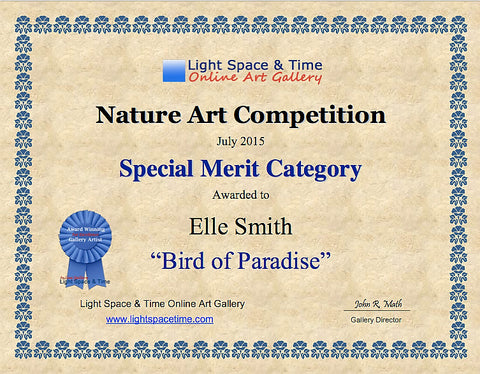 Nature Art Competition Certificate Light Space Time Online Gallery Elle Smith award