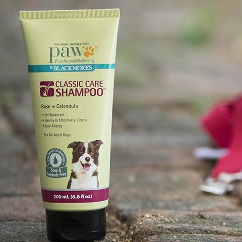 PAW Classic Care Shampoo – Gobles Pet and Grain, Adelaide