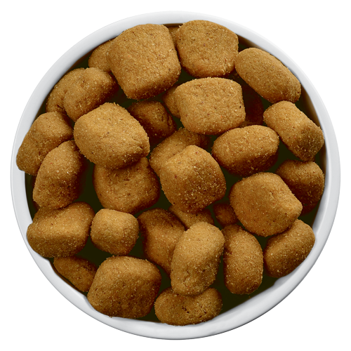 td dog treats