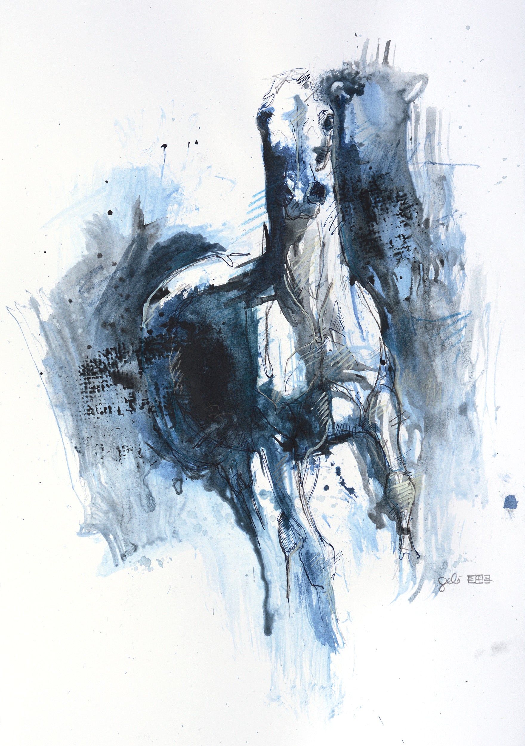 Equine Nude 137a